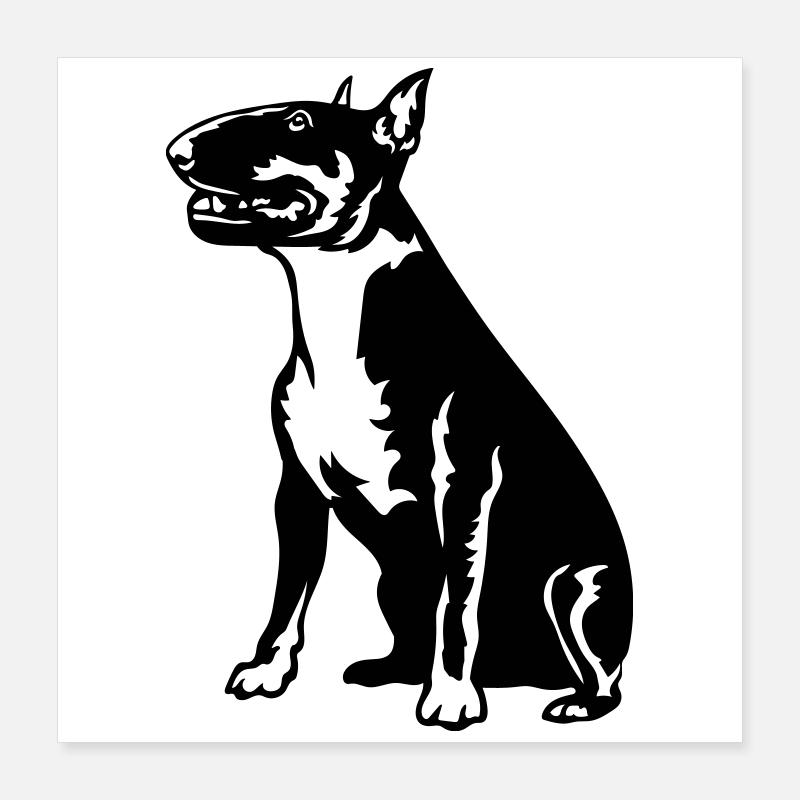 Bull terrier Poster 40 x 40 cm