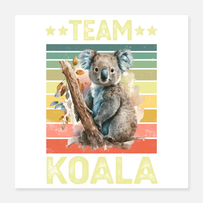 Koala Koalabär Poster 40x40 cm