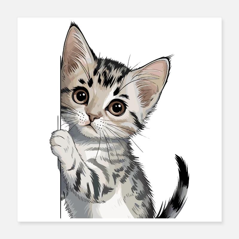 Cute kitten looking around the corner Poster 16" x 16" (40x40 cm)