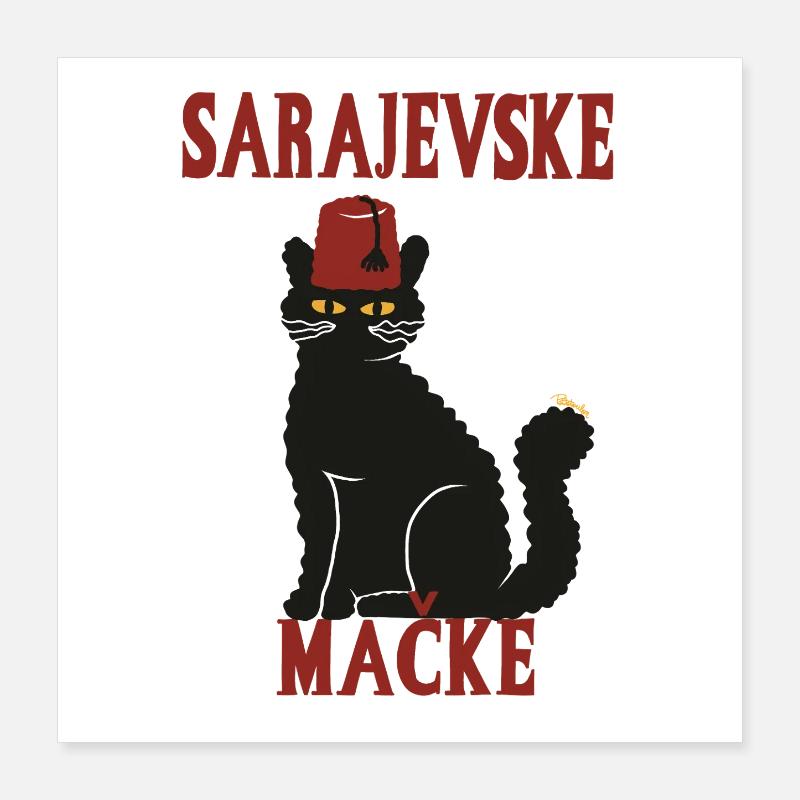 Cat Sarajevo Fez Poster 16" x 16" (40x40 cm)