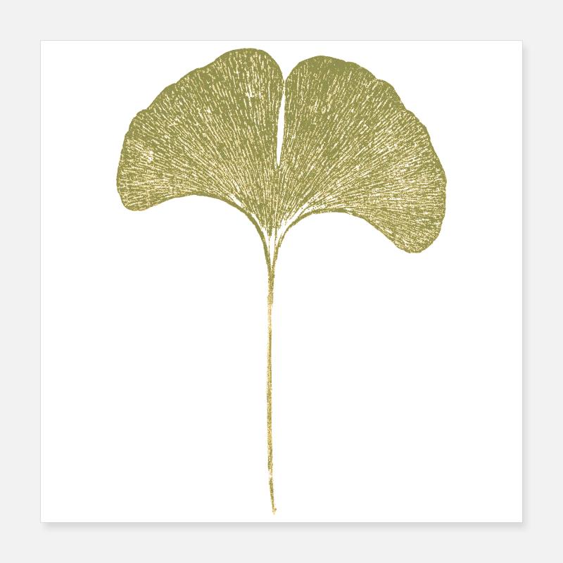Gingko Blatt Poster 40x40 cm