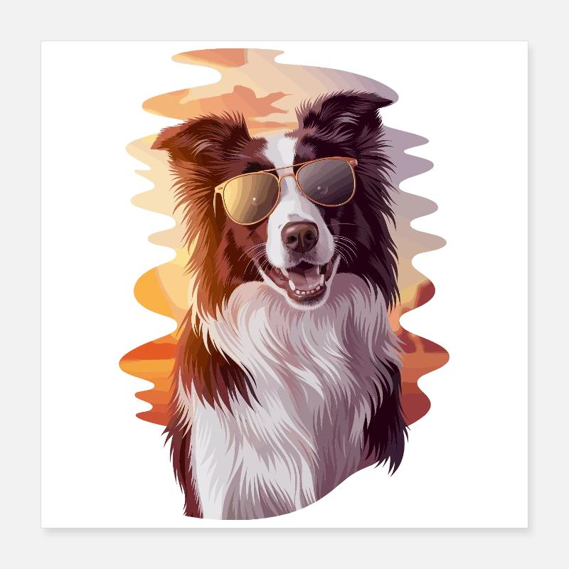 Cool border collie avant le coucher du soleil avec Poster 40 x 40 cm