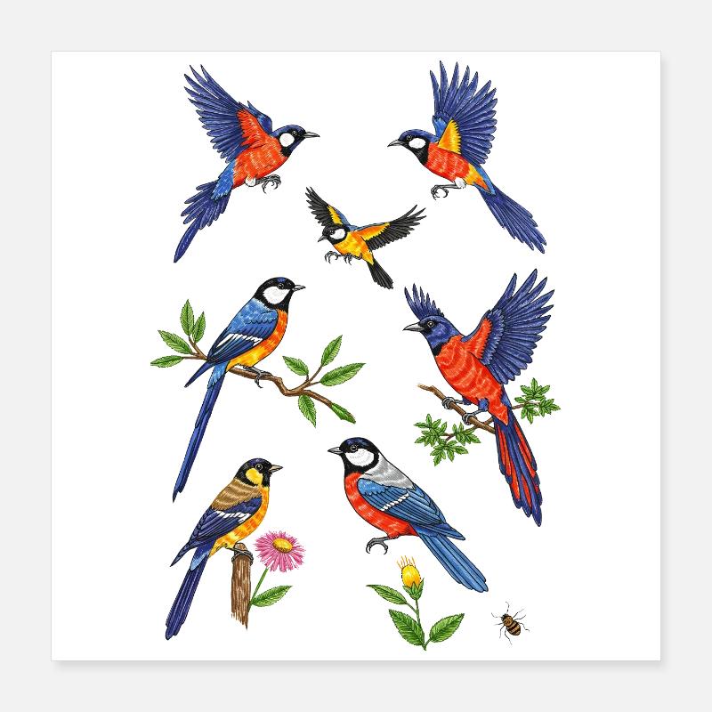 Lebendiger Eisvogelflug Poster 40x40 cm