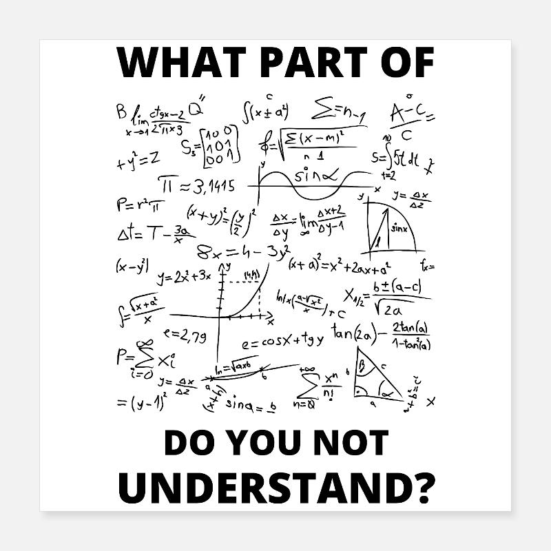 Professeur de mathématiques Professeur de mathématiques Mathématicien Poster 40 x 40 cm