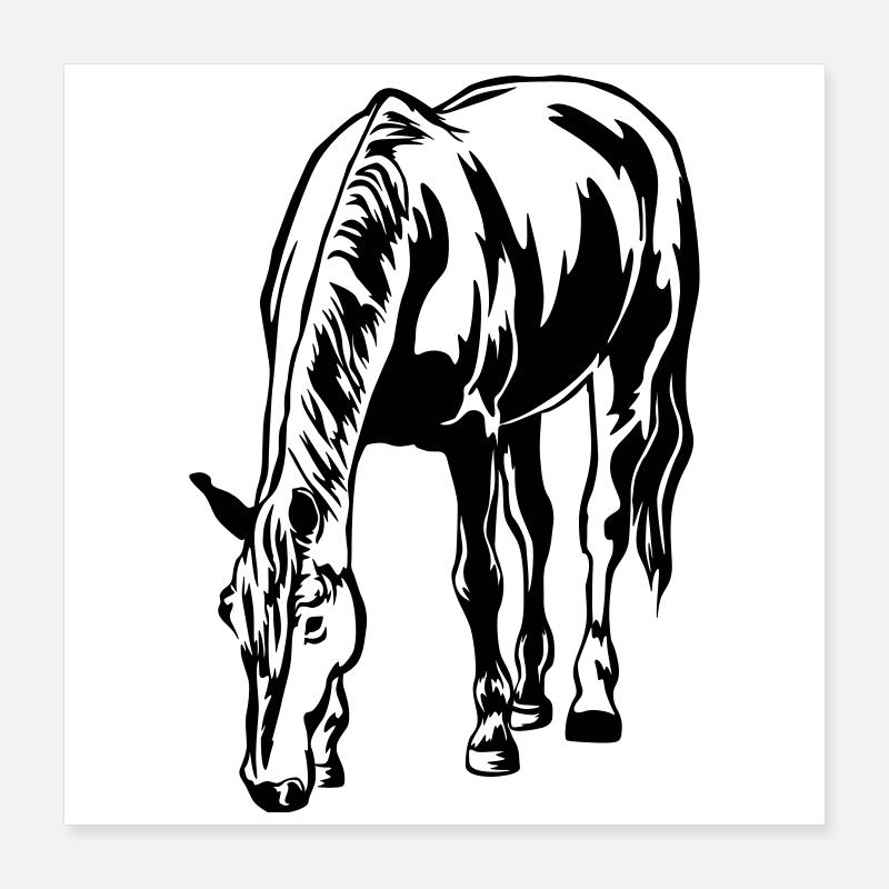 Grasendes Pferd Poster 40x40 cm