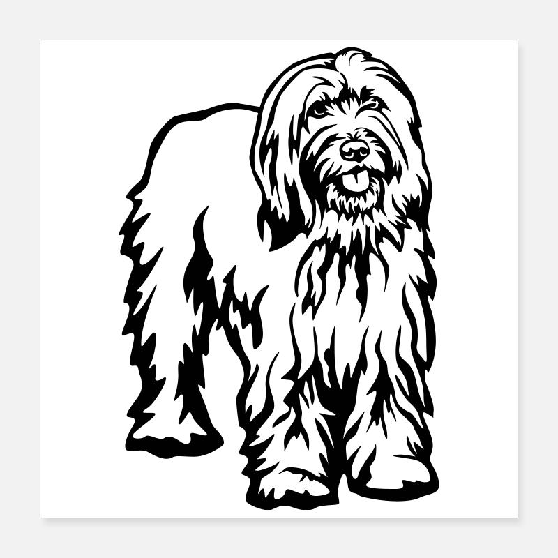 Gos d'atura Catala Poster 40x40 cm