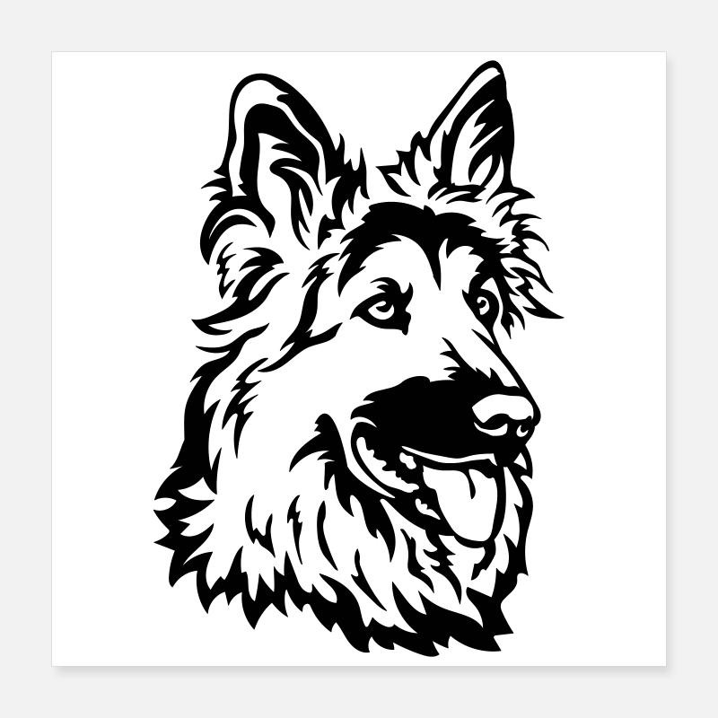 Deutscher Schäferhund Kopf Poster 40x40 cm