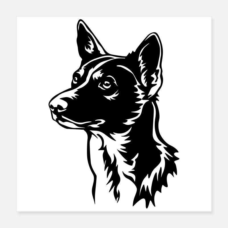 Basenji Kopf Poster 40x40 cm