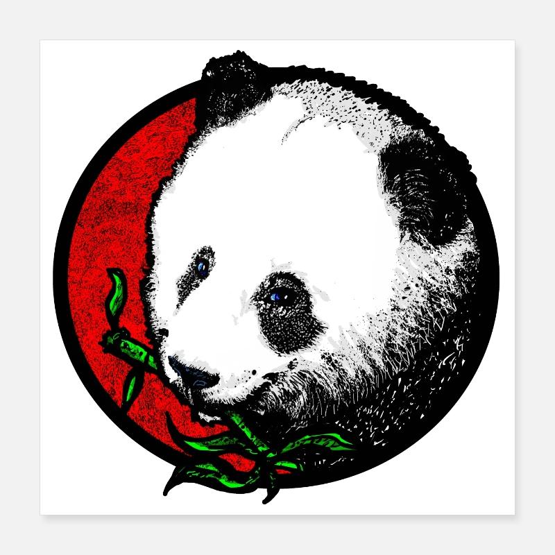 Tête de panda (bambou / couleur) Poster 40 x 40 cm