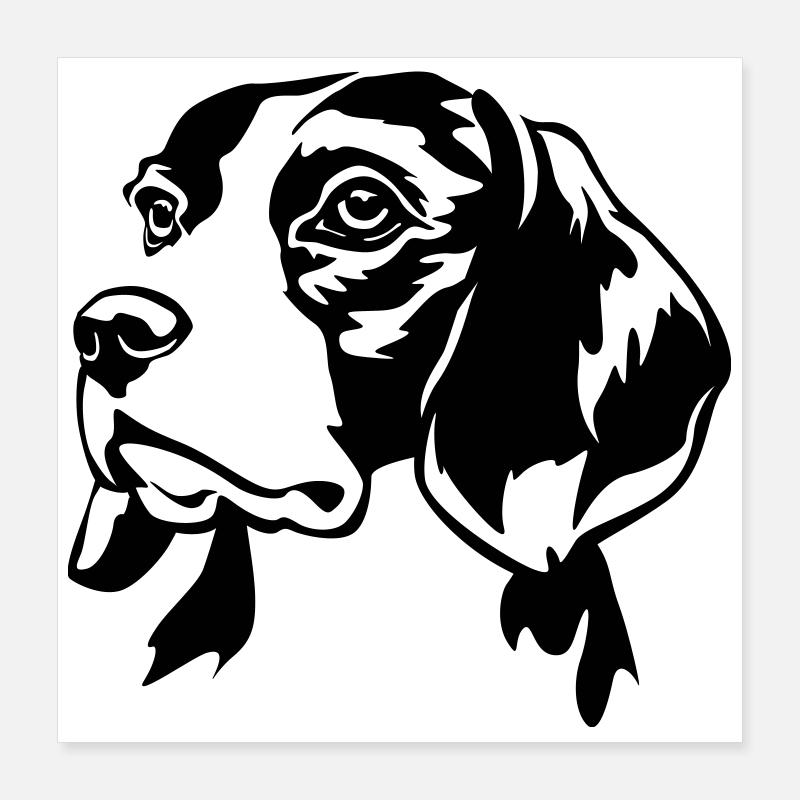Beagle Kopf Poster 40x40 cm