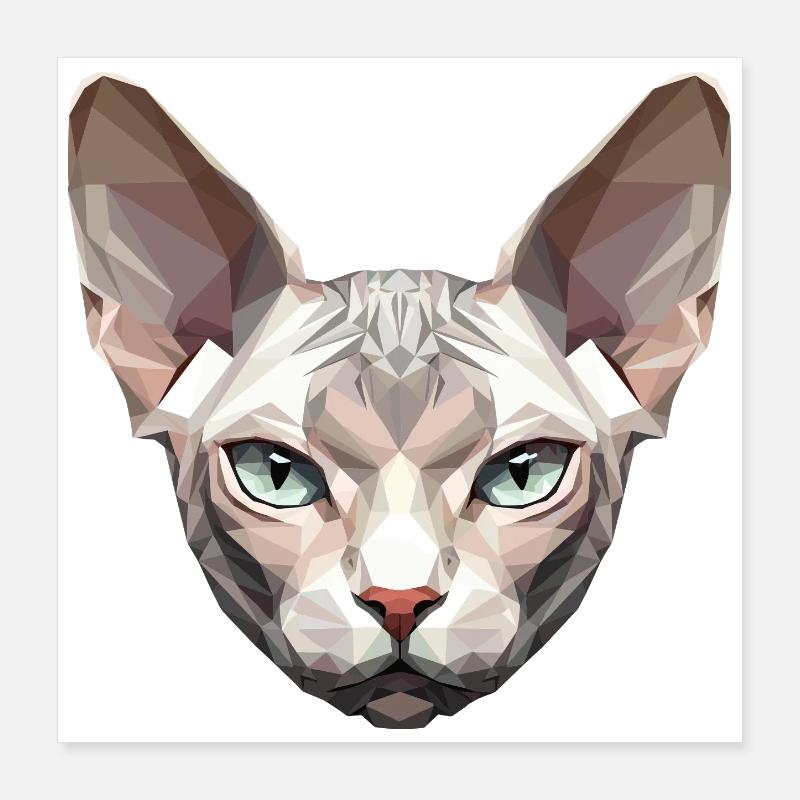Sphynx Chat Sphynx Chat Chat Canadien Sphinx mignon Poster 40 x 40 cm