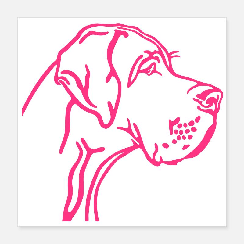 great dane Poster 40 x 40 cm