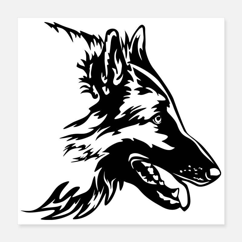Tervuren Kopf Poster 40x40 cm