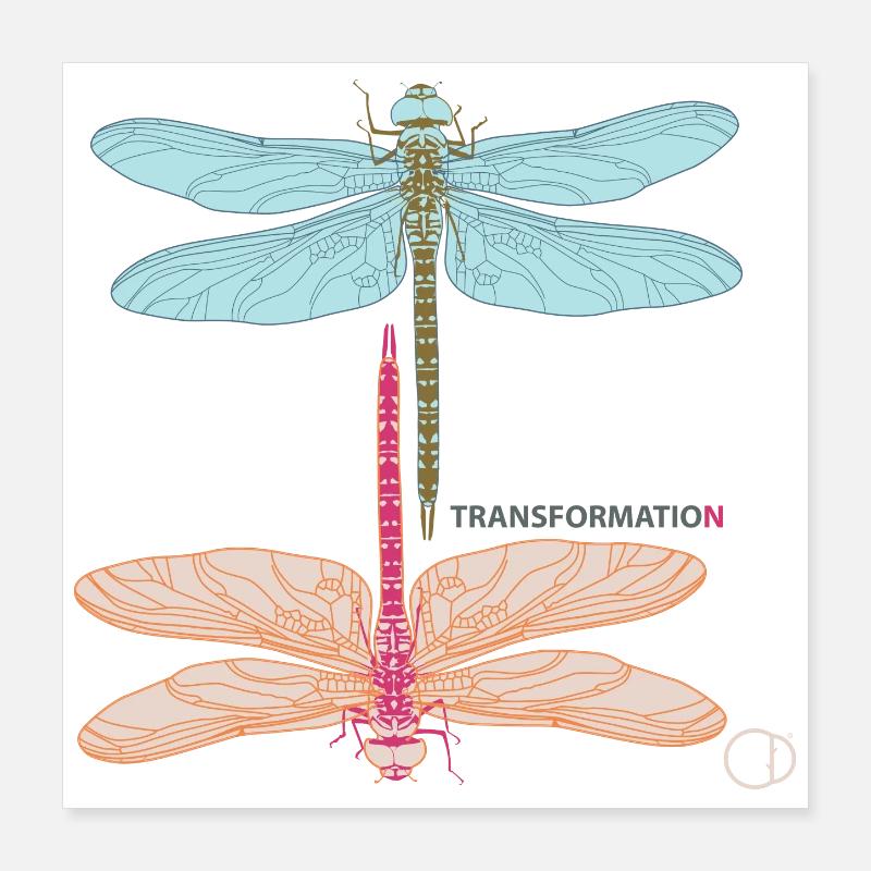 Dragonflies and Transformation by CD Poster 16" x 16" (40x40 cm)
