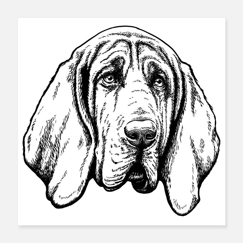 Portrait de Limier Poster 40 x 40 cm