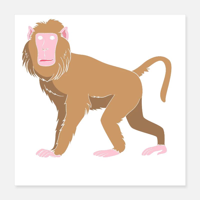Babouin Babouin Primate Singe Singe Poster 40 x 40 cm