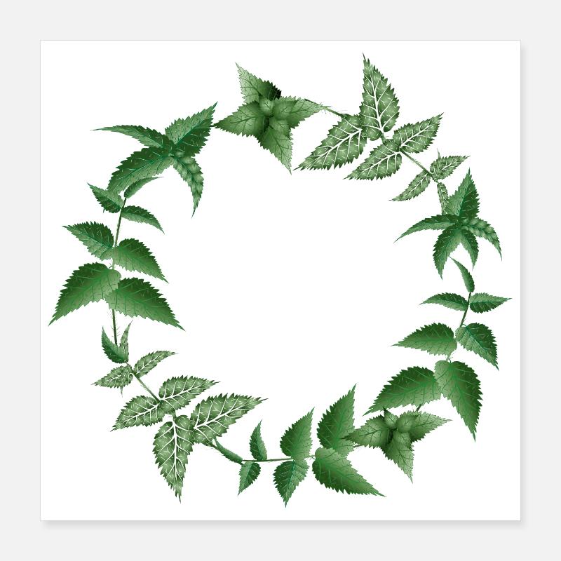 Couronne d’ortie dans des tons sombres de vert Poster 40 x 40 cm
