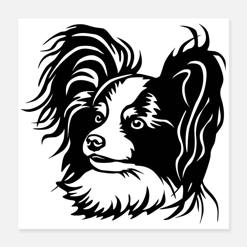 Papillon Kopf Poster 40x40 cm