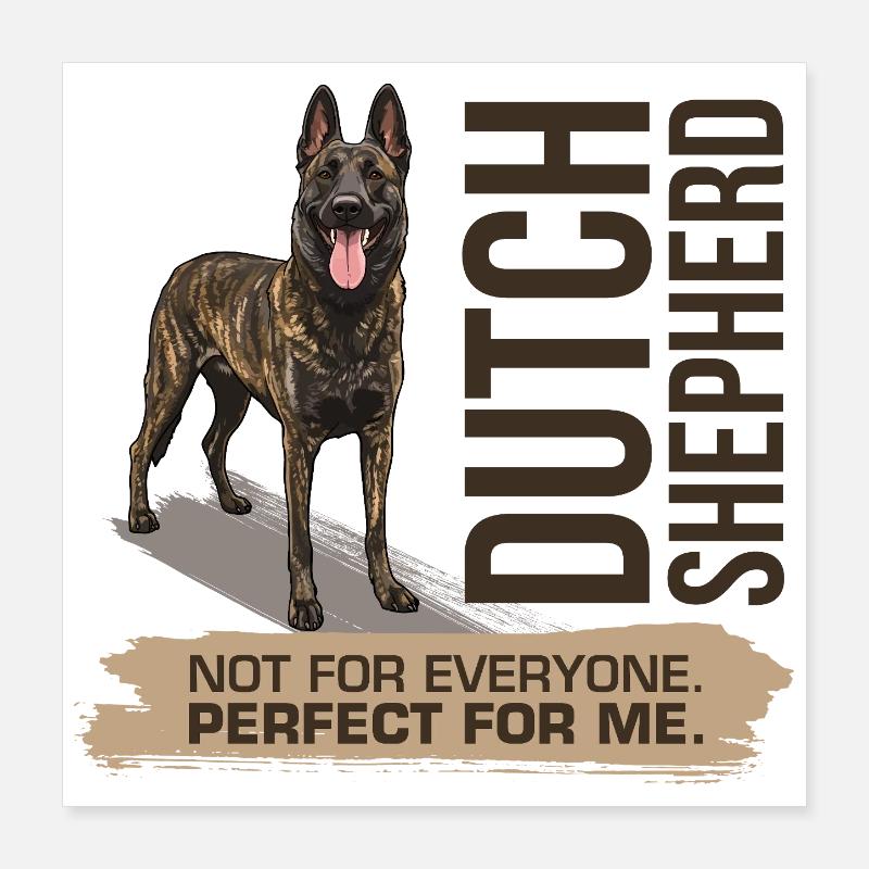 Dutch Shepherd – Dutchie Poster 40x40 cm