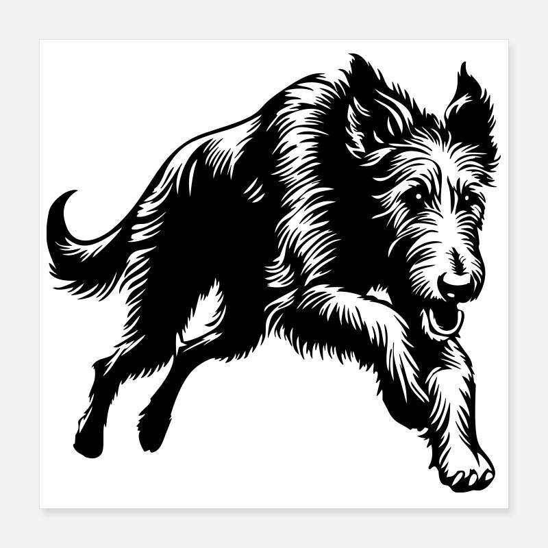 Irish Wolfhound Poster 40x40 cm