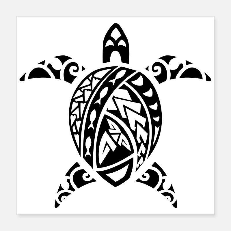 maori turtle Poster 16" x 16" (40x40 cm)