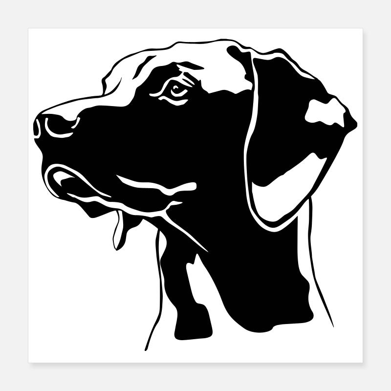 Magyar Vizsla head Poster 16" x 16" (40x40 cm)