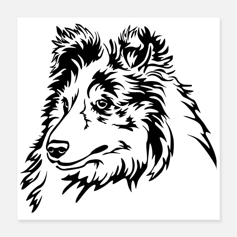 Sheltie Kopf Poster 40x40 cm