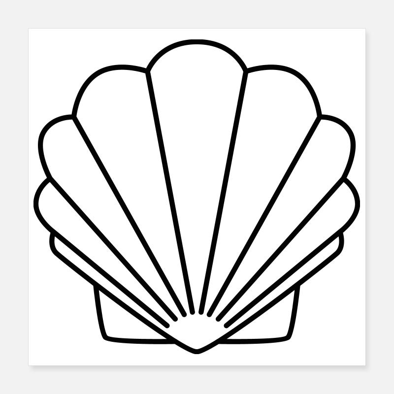 Shell Poster 16" x 16" (40x40 cm)