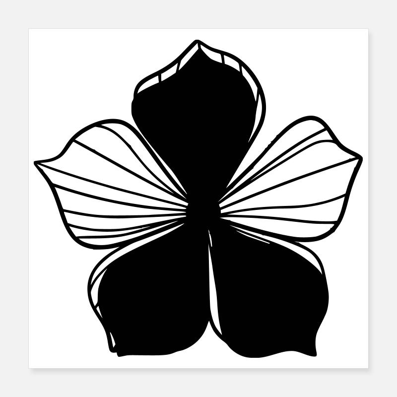 Design floral graphique transparent - Graphique fleur Poster 40 x 40 cm