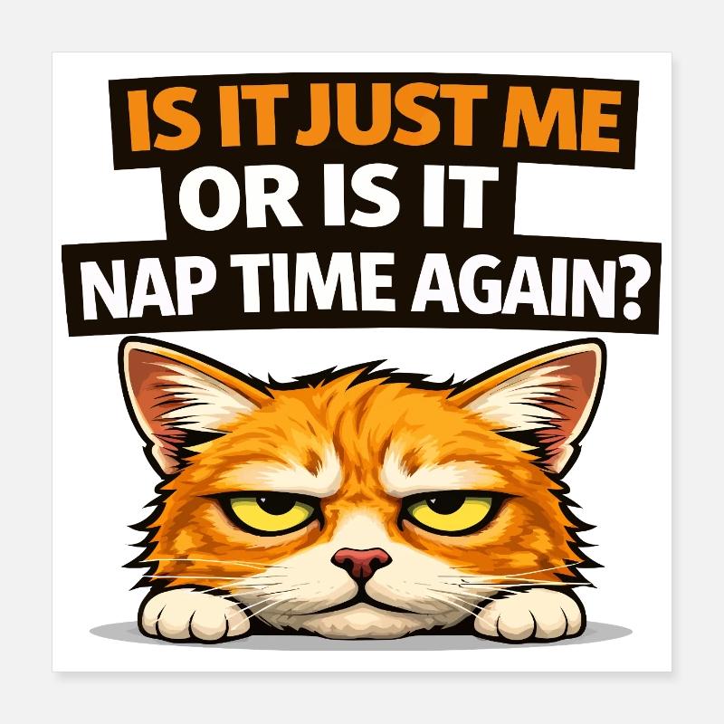 Mème du chat de l’heure de la sieste Poster 40 x 40 cm