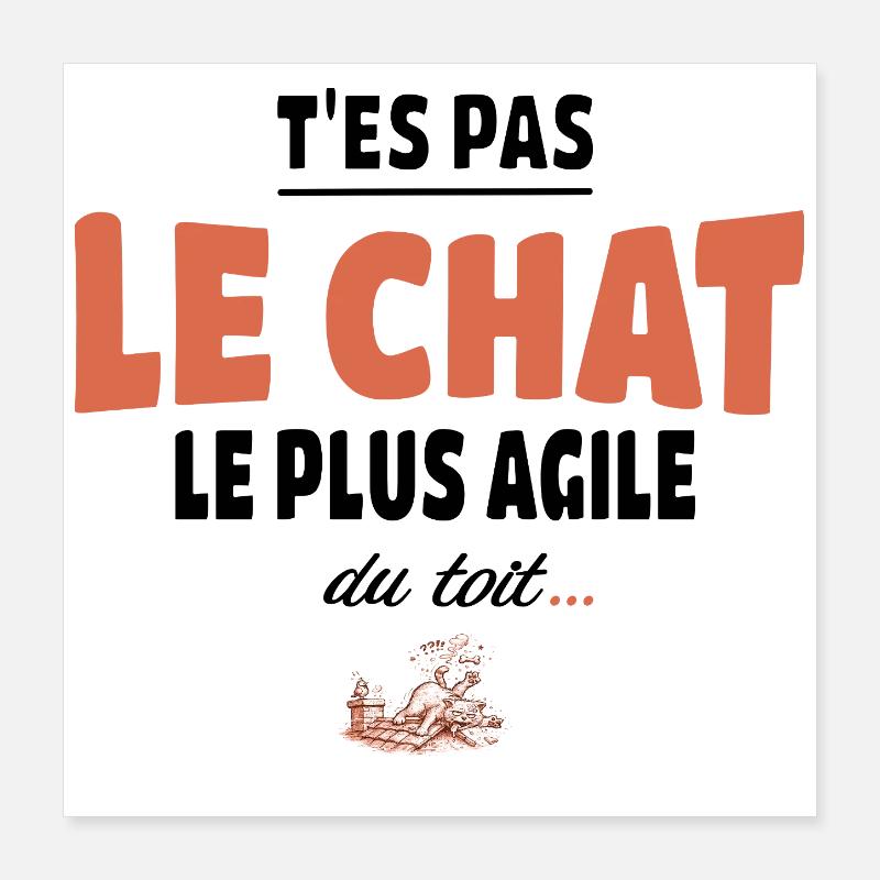 T’es pas le chat le plus agile du toit - Humour Poster 40 x 40 cm