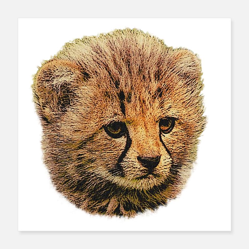 Bébé guépard, bébé animal Poster 40 x 40 cm