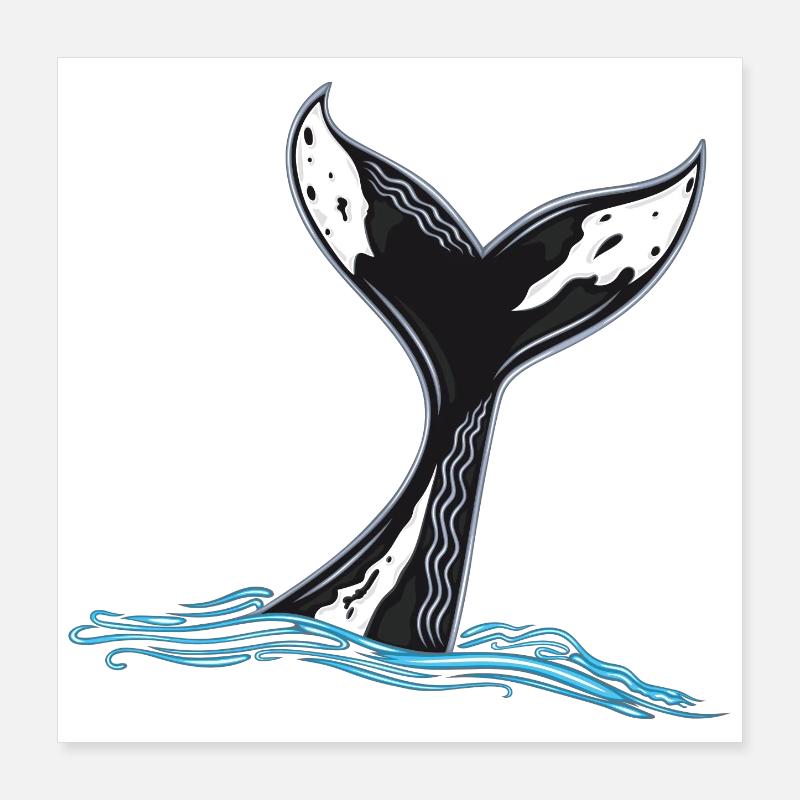 Whale Fin Whale Fin Poster 16" x 16" (40x40 cm)