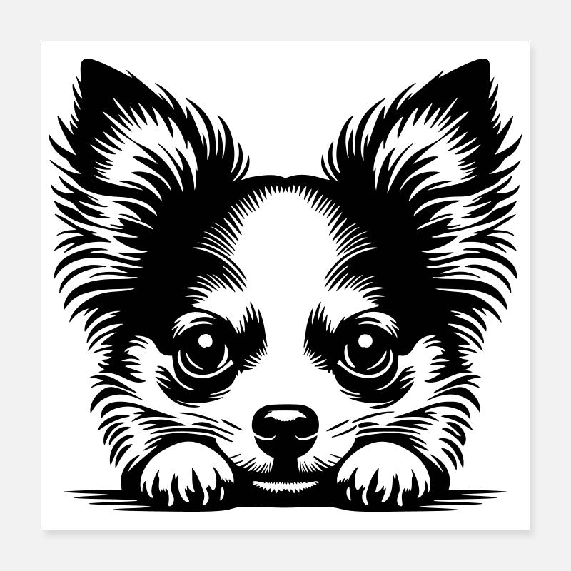 Chihuahua Head with Poten Poster 16" x 16" (40x40 cm)