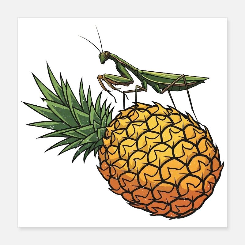 Pineapple with grasshopper illustration Poster 16" x 16" (40x40 cm)