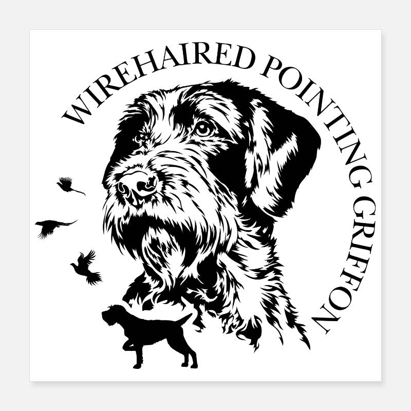 Wirehaired Pointing Griffon Jagdhunde Wilsigns  Poster 40x40 cm