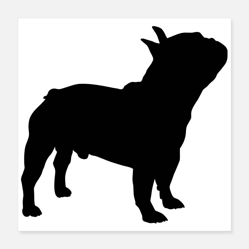 French Bulldog Poster 16" x 16" (40x40 cm)
