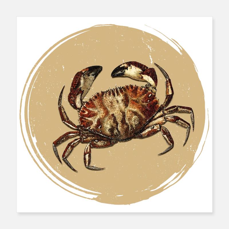 Crab Poster 16" x 16" (40x40 cm)