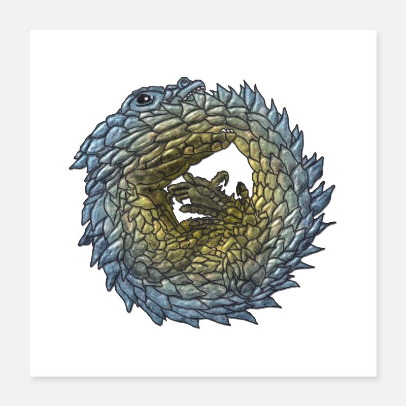 Armadillo Lizzard Poster 40 x 40 cm