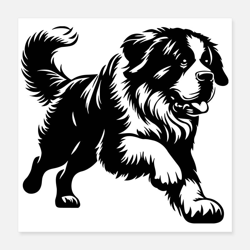 Bernhardiner Poster 40x40 cm