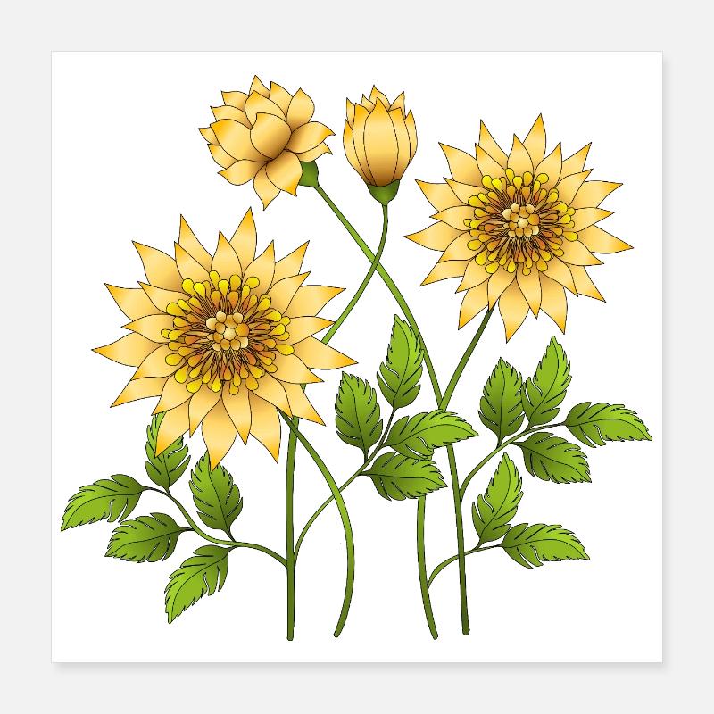 Blomster Poster 40x40 cm