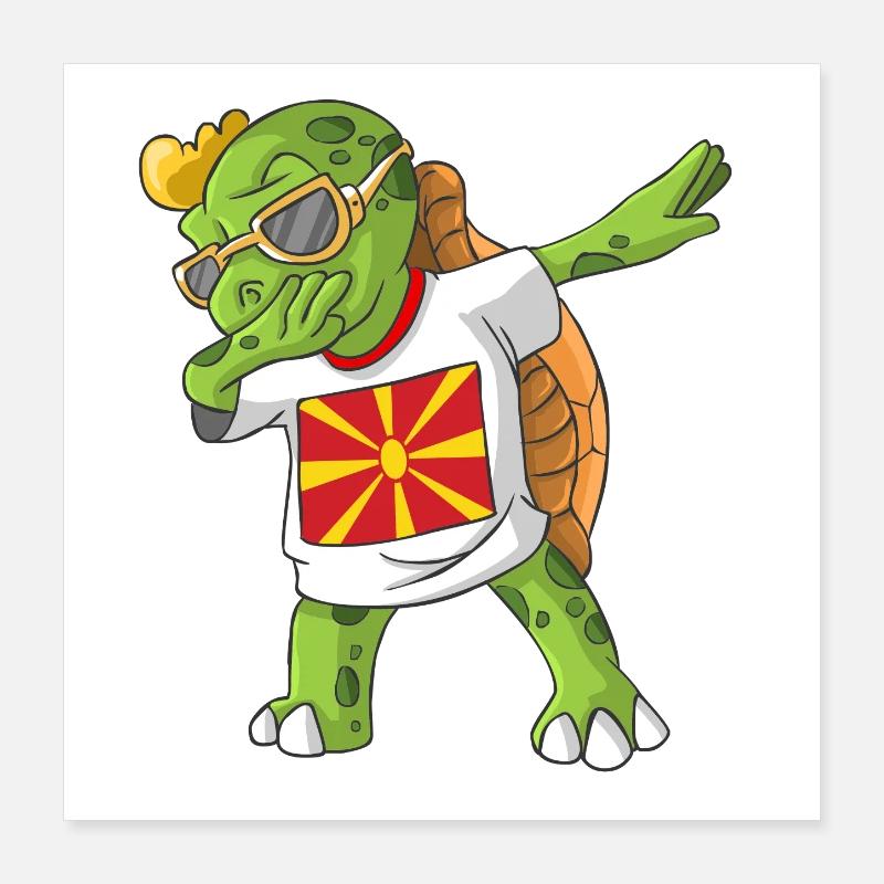 Macedonia Dabbing turtle Poster 16" x 16" (40x40 cm)