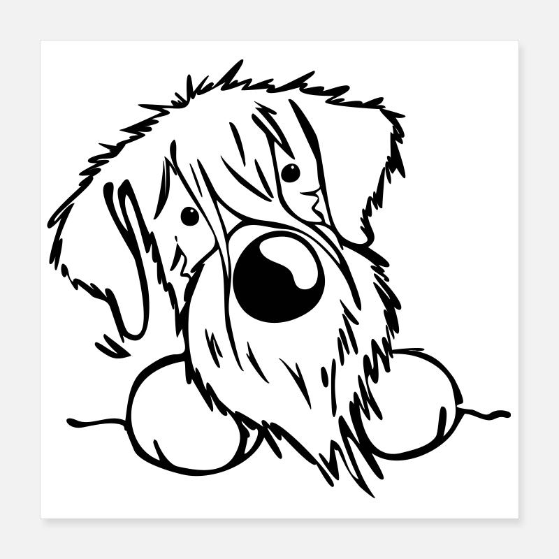 Schnauzer Poster 40 x 40 cm