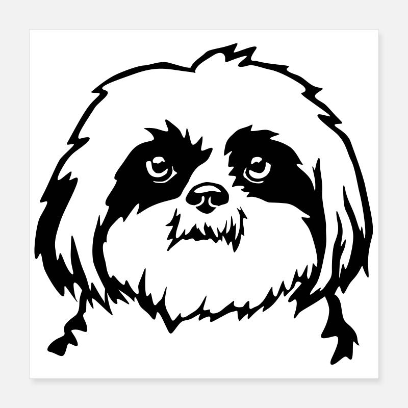 Shih Tzu head Poster 16" x 16" (40x40 cm)