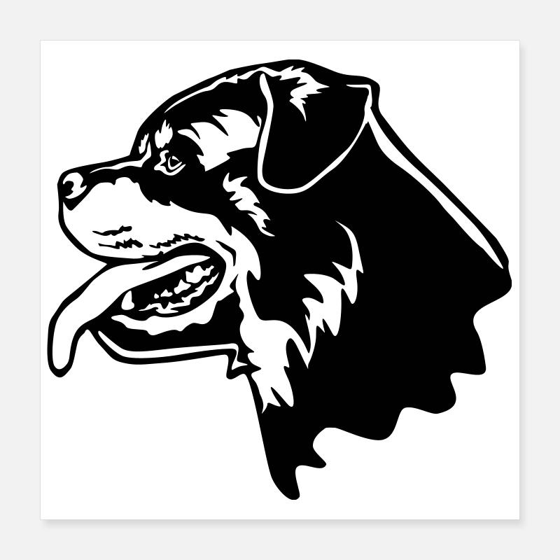 Rottweiler Kopf Poster 40 x 40 cm