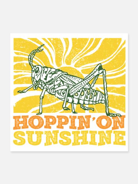 Grasshoppers, field locusts - Poster 16" x 16" (40x40 cm) - white - Front