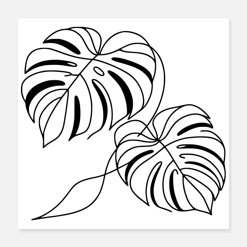 Monstera Poster 40x40 cm