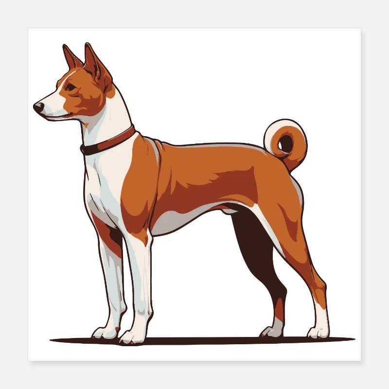 Basenji Poster 40 x 40 cm