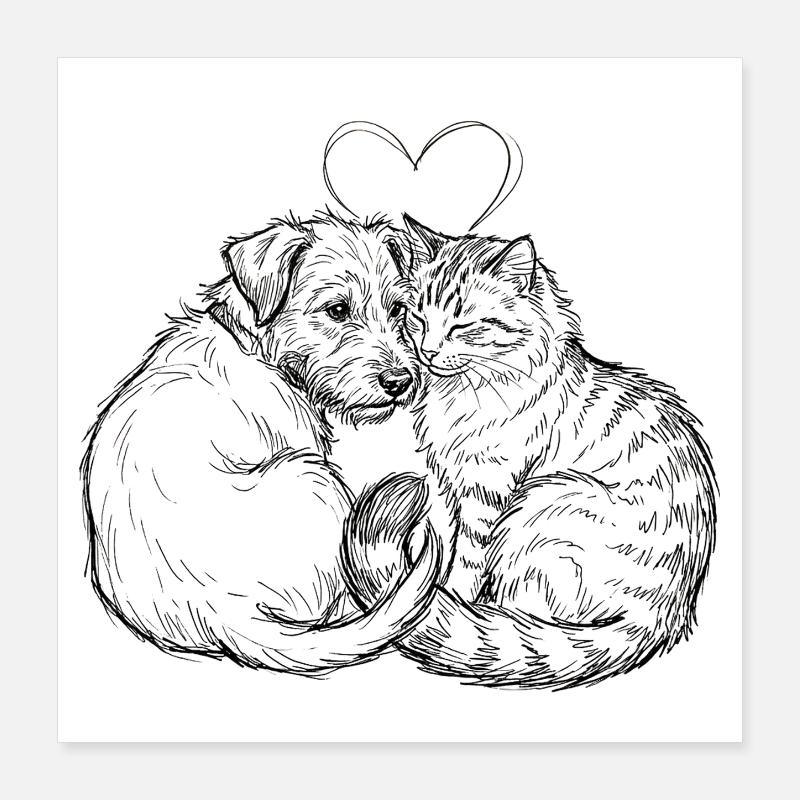 Amis mignons (Chat + Chien) Poster 40 x 40 cm