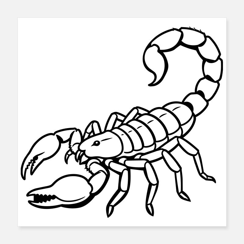Signes du Scorpion Poster 40 x 40 cm